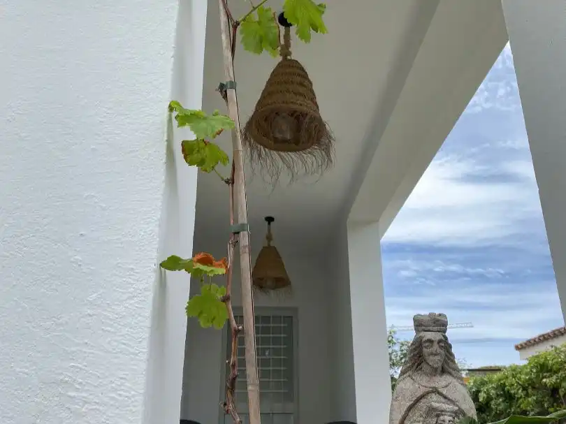 House with pool to rent in Calle Azahar 15, imagen 2