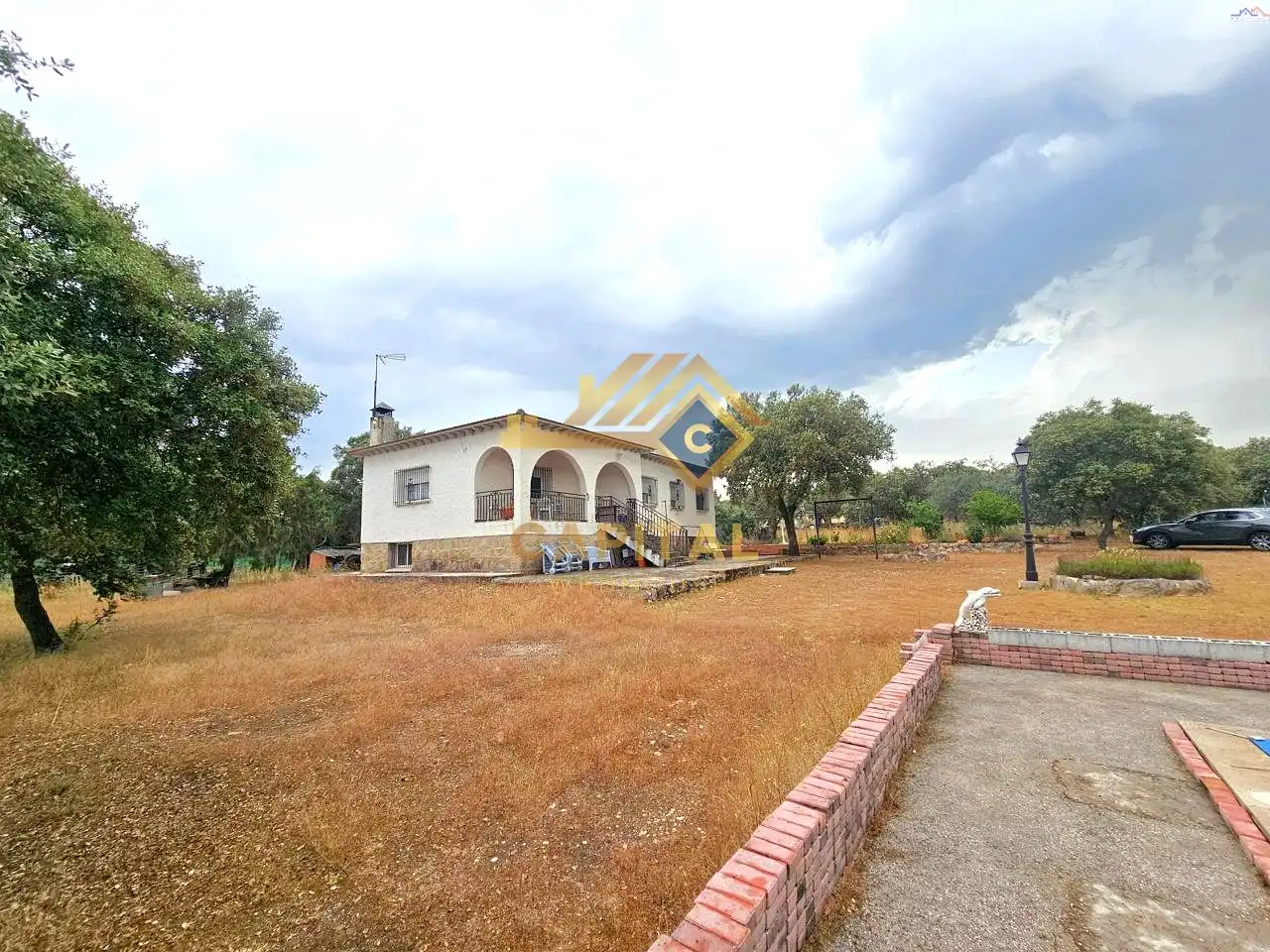 Jardí de Casa o xalet en venda en Villa del Prado amb Traster i Piscina