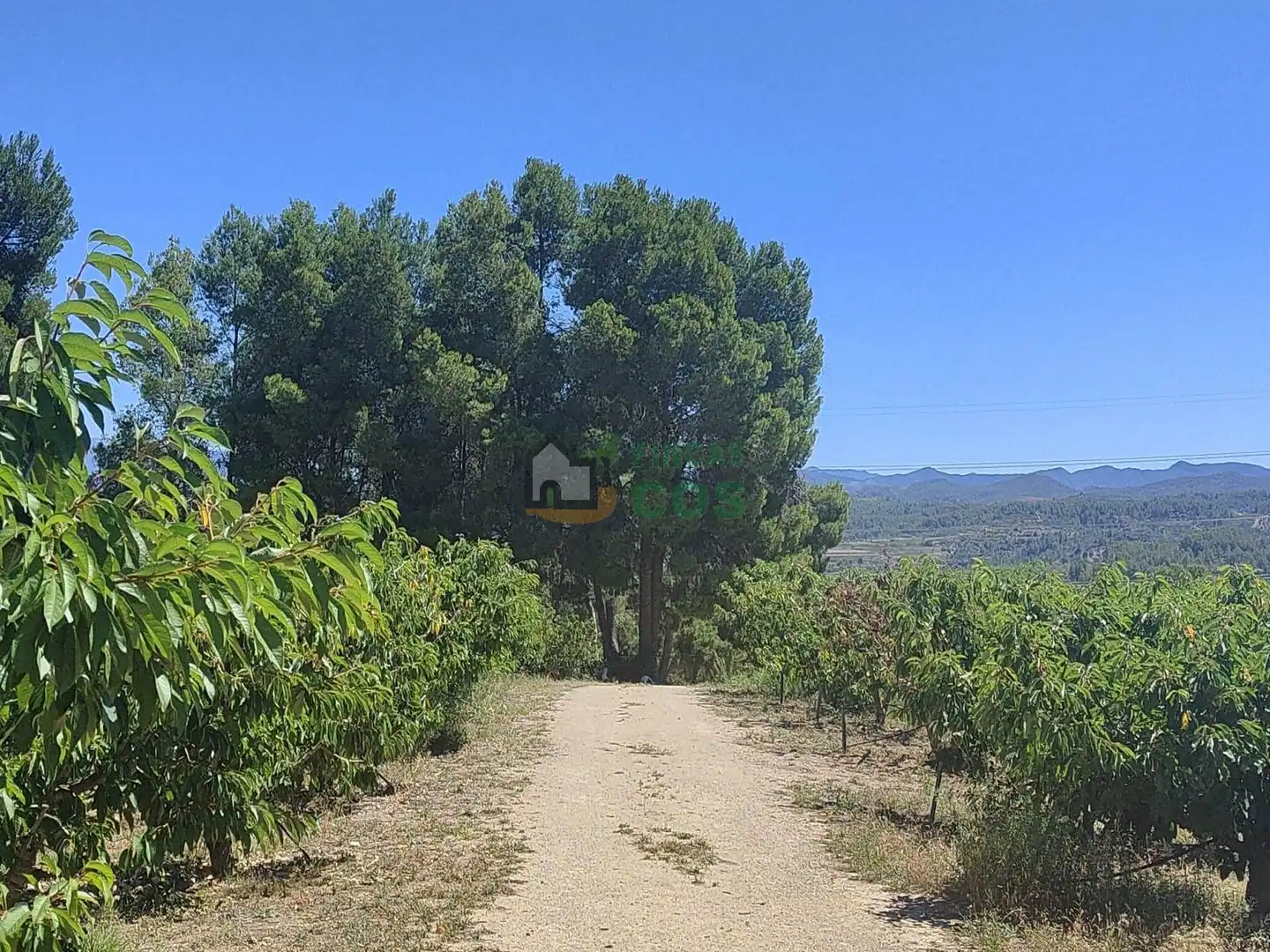 Land for sale in Garcia