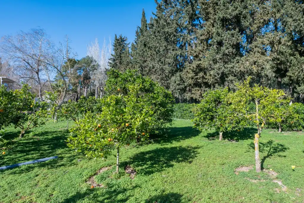 Landhaus mit Pool zum Verkauf in Sant Joan de Labritja, imagen 38