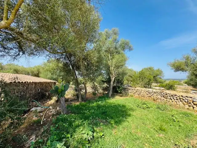 Landhaus mit Pool zum Verkauf in Manacor Centre, imagen 32
