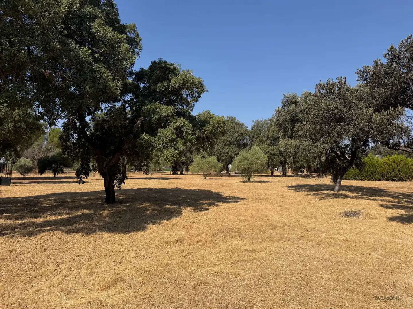 Finca rústica en venta en Badajoz con Jardín privado, Terraza y Trastero