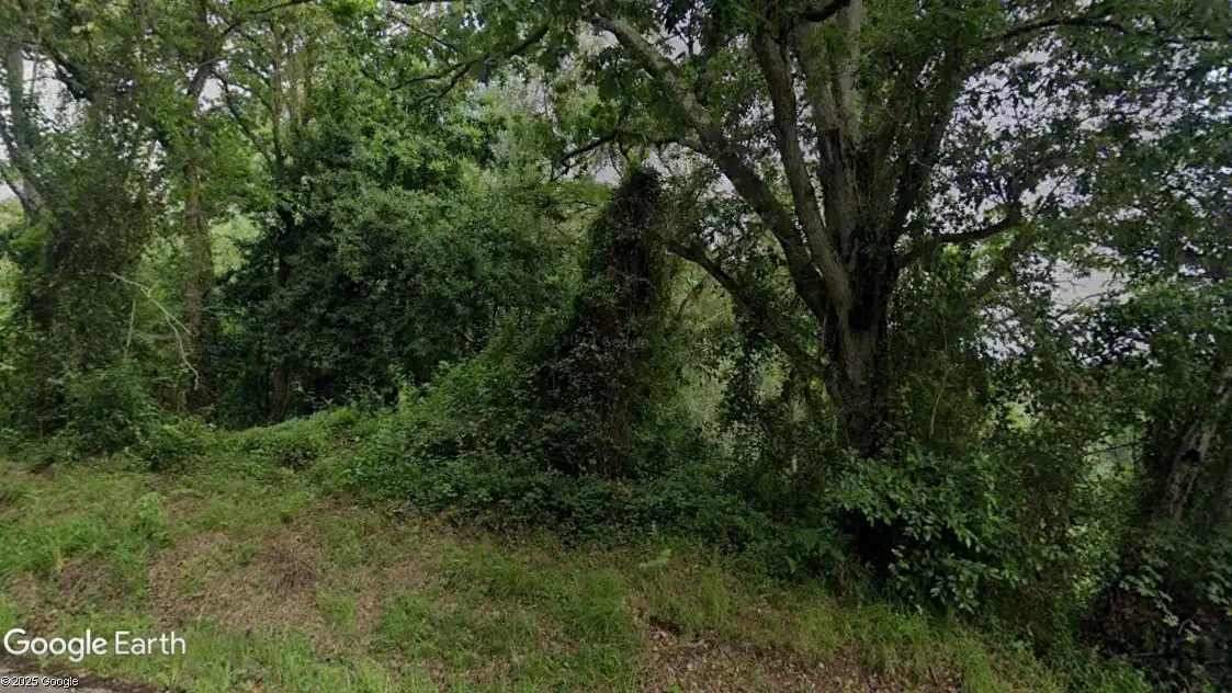 Terreny rústic en venda a Colunga, imagen 3