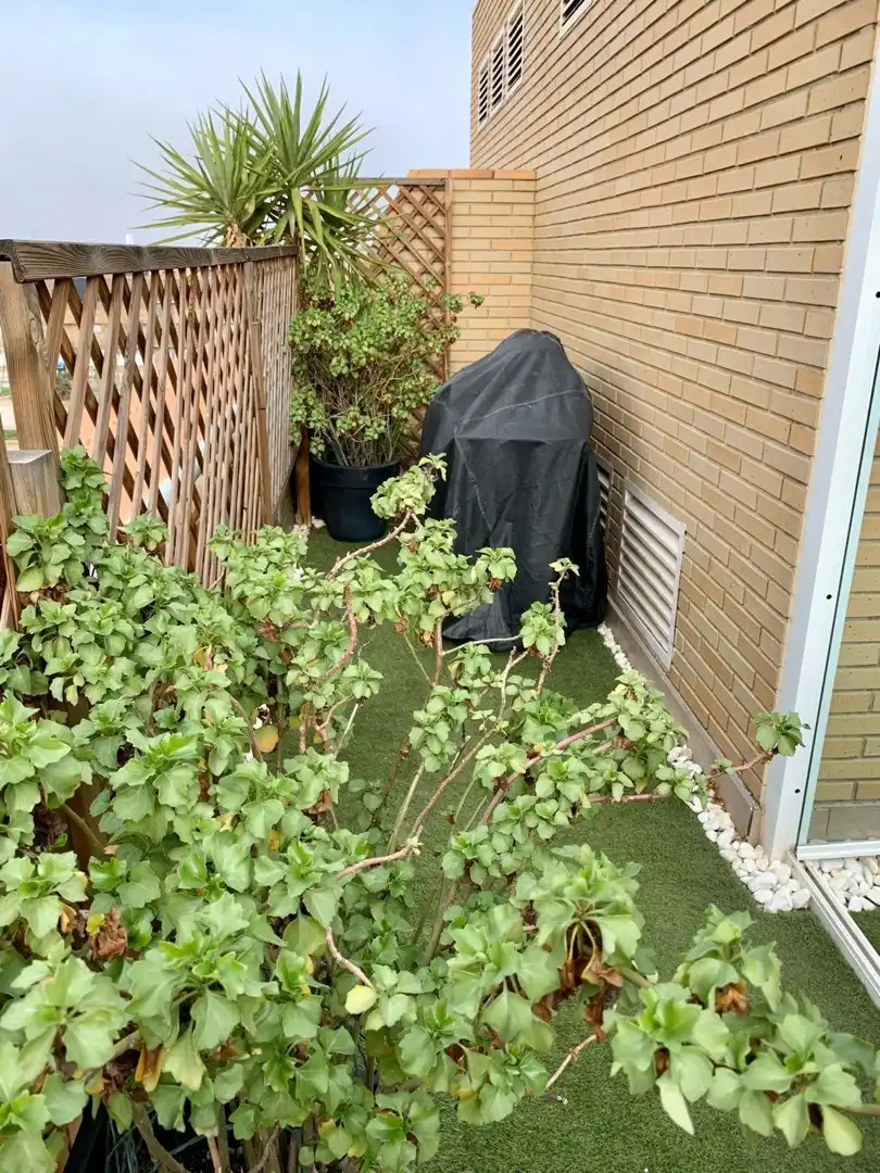 Maisonette mit Pool zum Verkauf in Moncloa - Aravaca, imagen 45