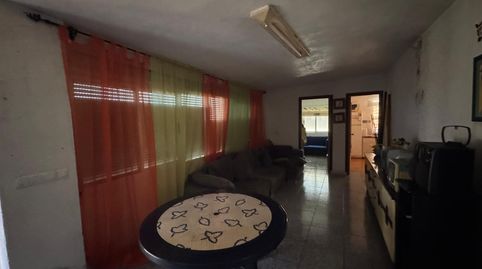Finca junto al pueblo, imagen 4