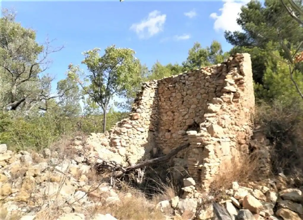 Rustikales Grundstück zum Verkauf in ZONA DISSEMINAT DEL COLL DE LALBA, imagen 7