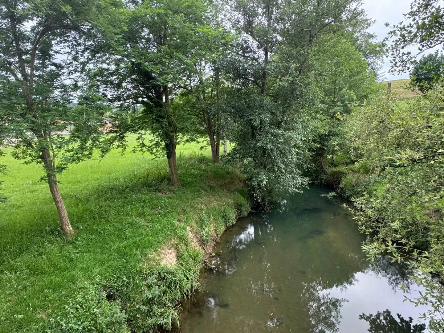 Land for sale in Entrambasaguas