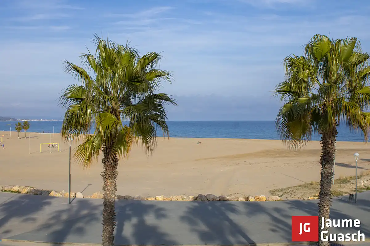 Vista exterior de Local en venta en Torredembarra con Terraza