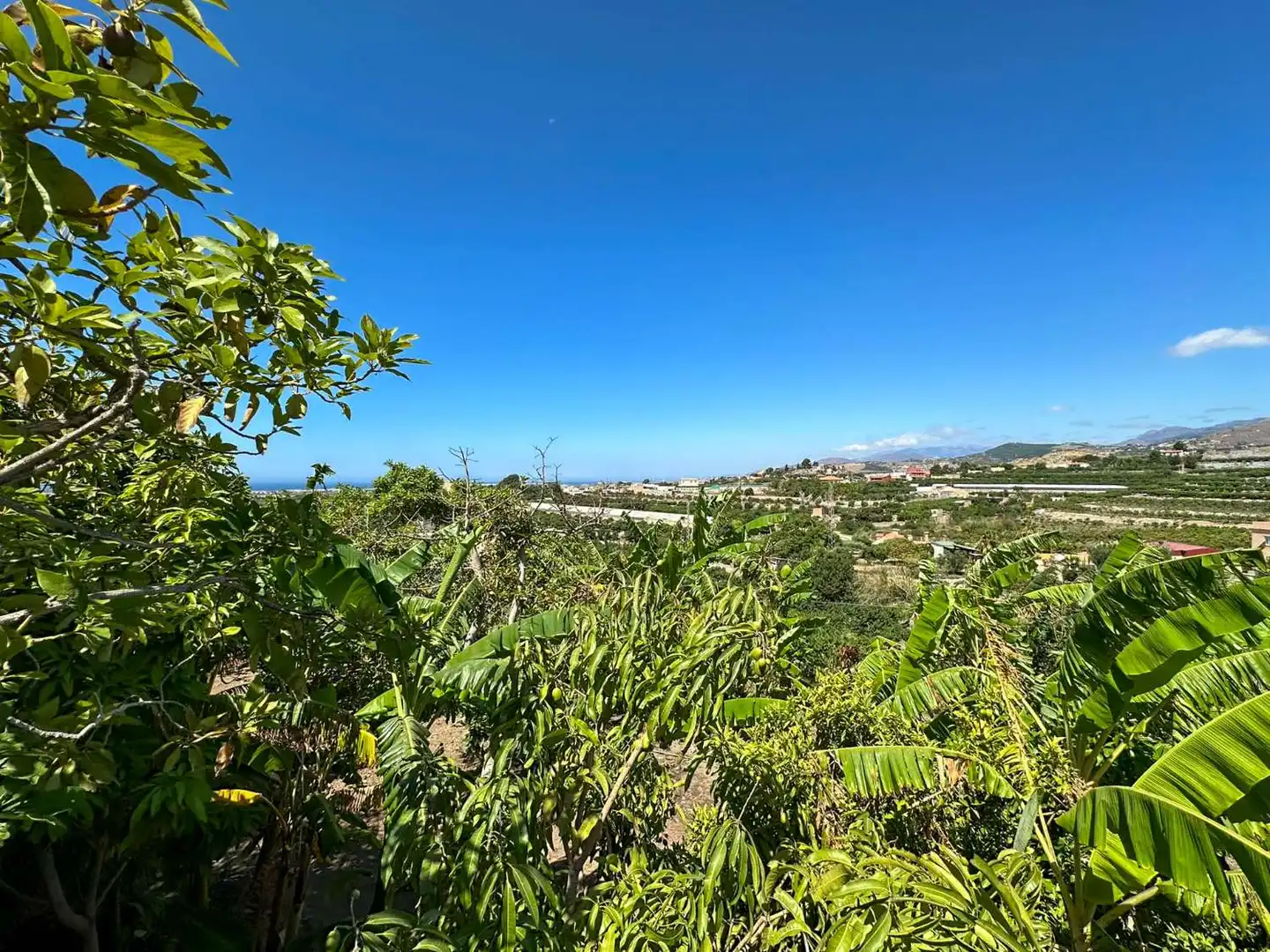 Vista exterior de Casa o chalet en venta en Motril con Calefacción, Terraza y Trastero
