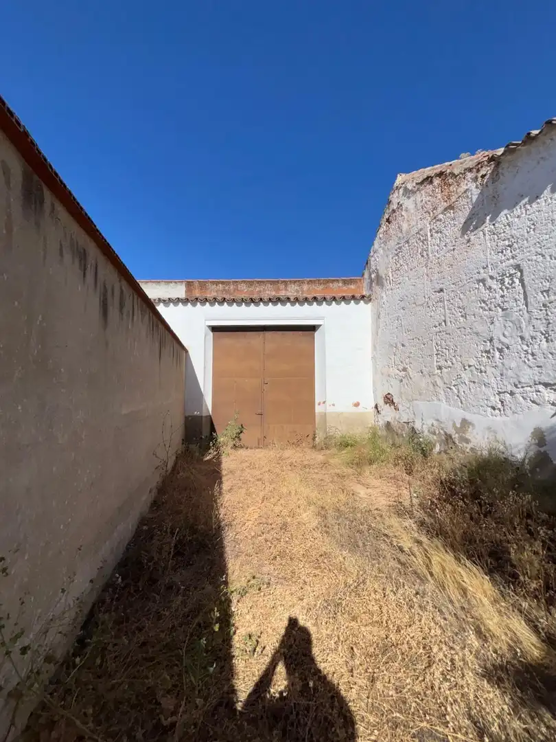 Vista exterior de Casa o chalet en venta en Moral de Calatrava
