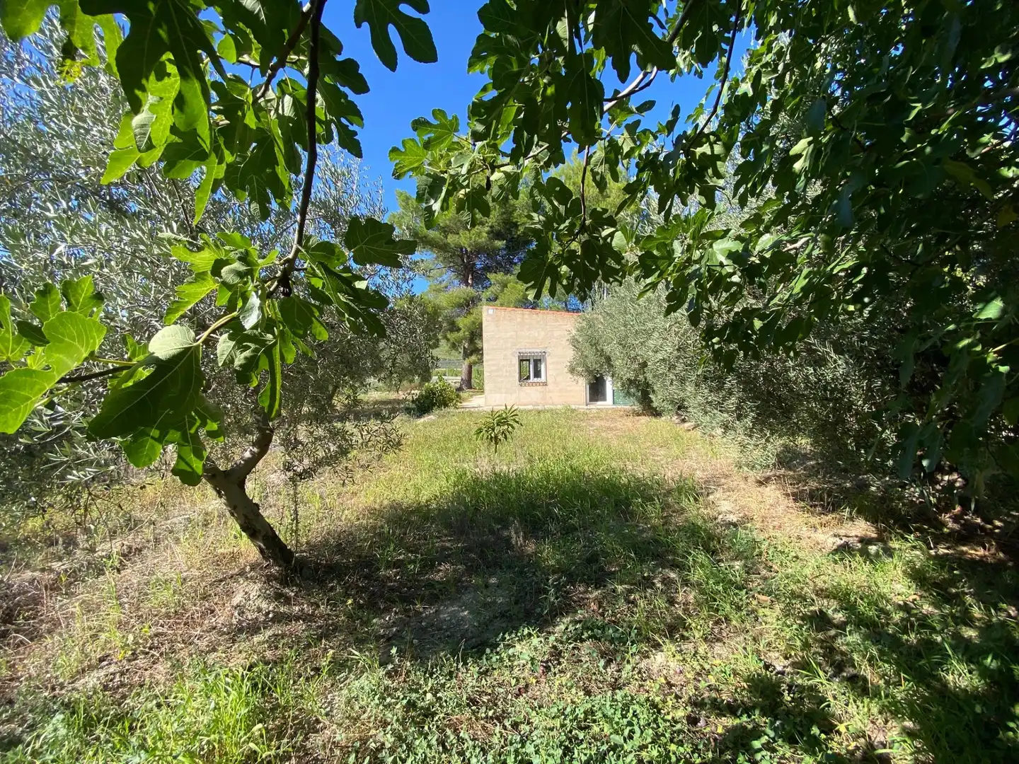 Terrain rustique à vendre à Moratalla, imagen 2