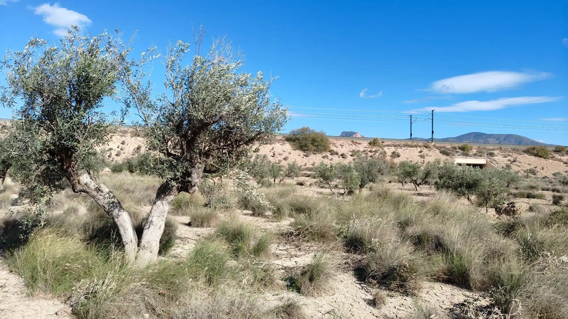 Terreno rustico in vendita a Campo Alto - Club de Campo, imagen 3