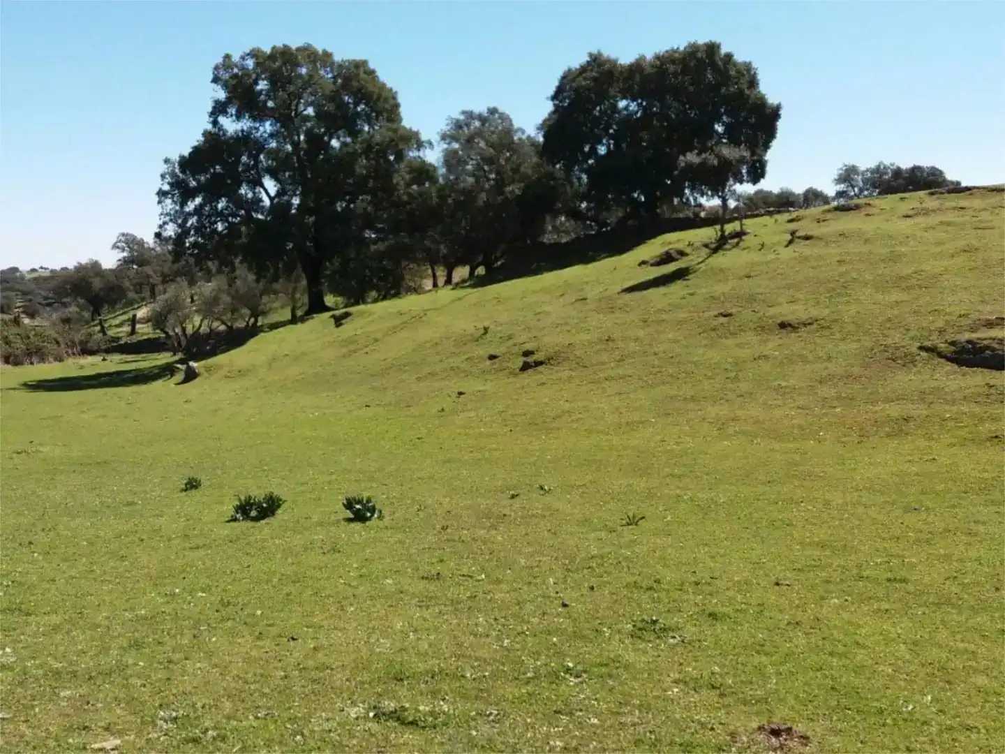 Terreno en venta en Serradilla
