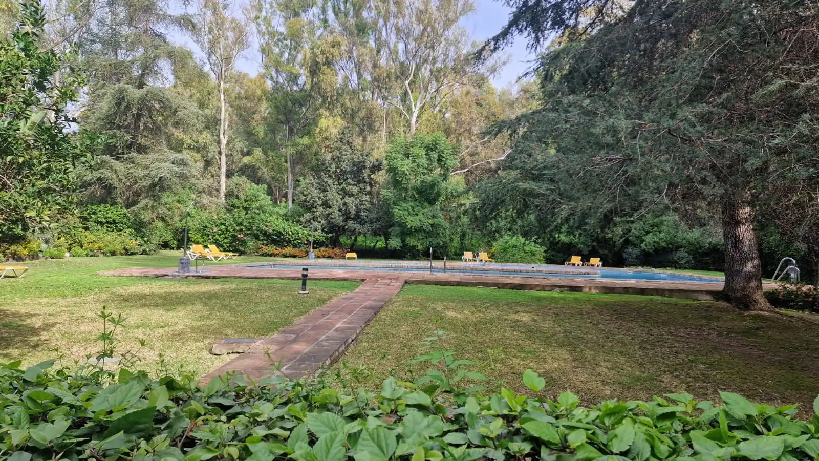 Piscina de Piso en venta en Marbella con Aire acondicionado, Terraza y Amueblado