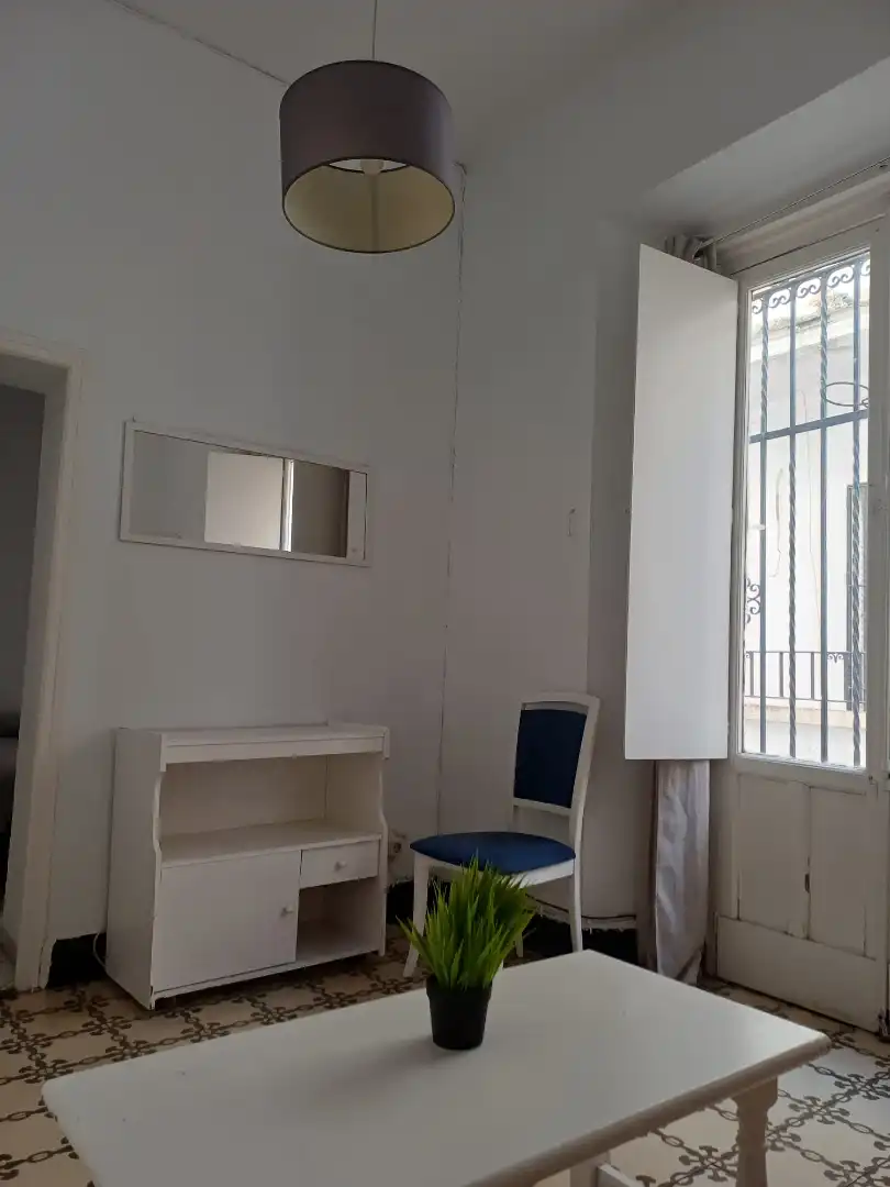 Apartments for rent in Calle Cristóbal Morales, Arenal - Museo