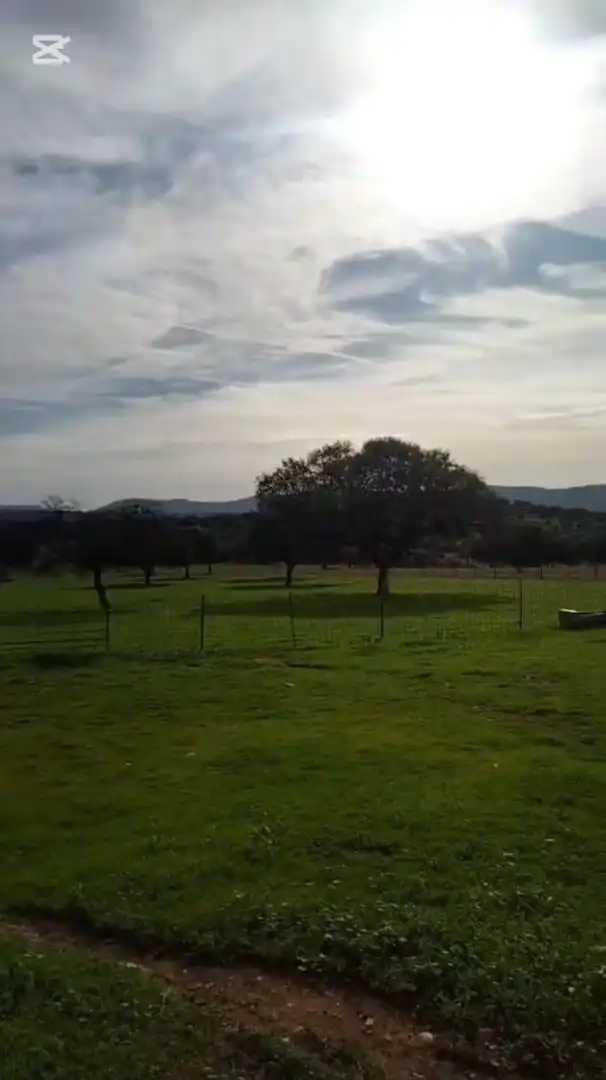 Casa rústica en venda a Las Vaguadas, imagen 11