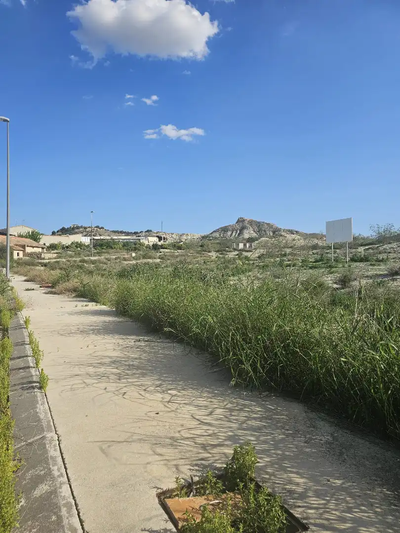 Terreno industrial en venta en Carretera de Ceutí, 12, Alguazas