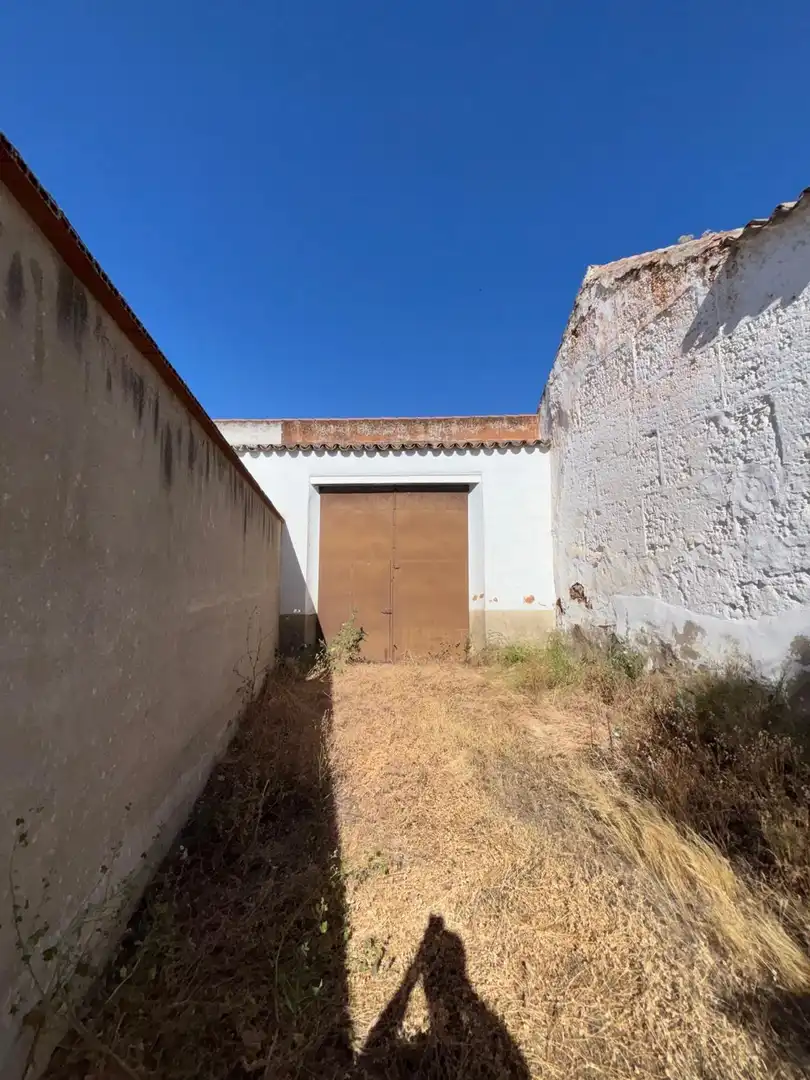 Vista exterior de Casa o chalet en venta en Moral de Calatrava