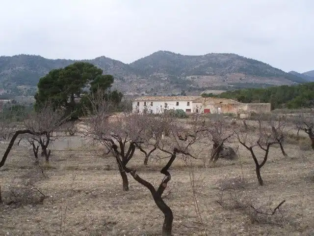 Rural land for sale in torremanzanas, imagen 3