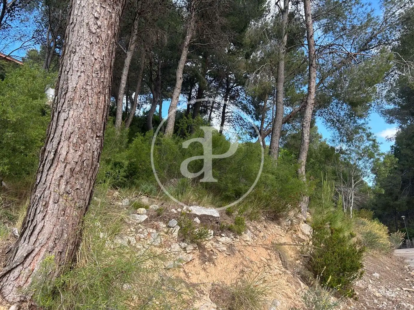 Wohnbaugrundstück zum Verkauf in El Bosque, imagen 3