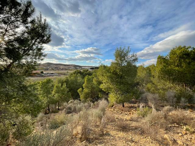 Finca rústica en Venta en Camino de las Balsas en El Esparragal