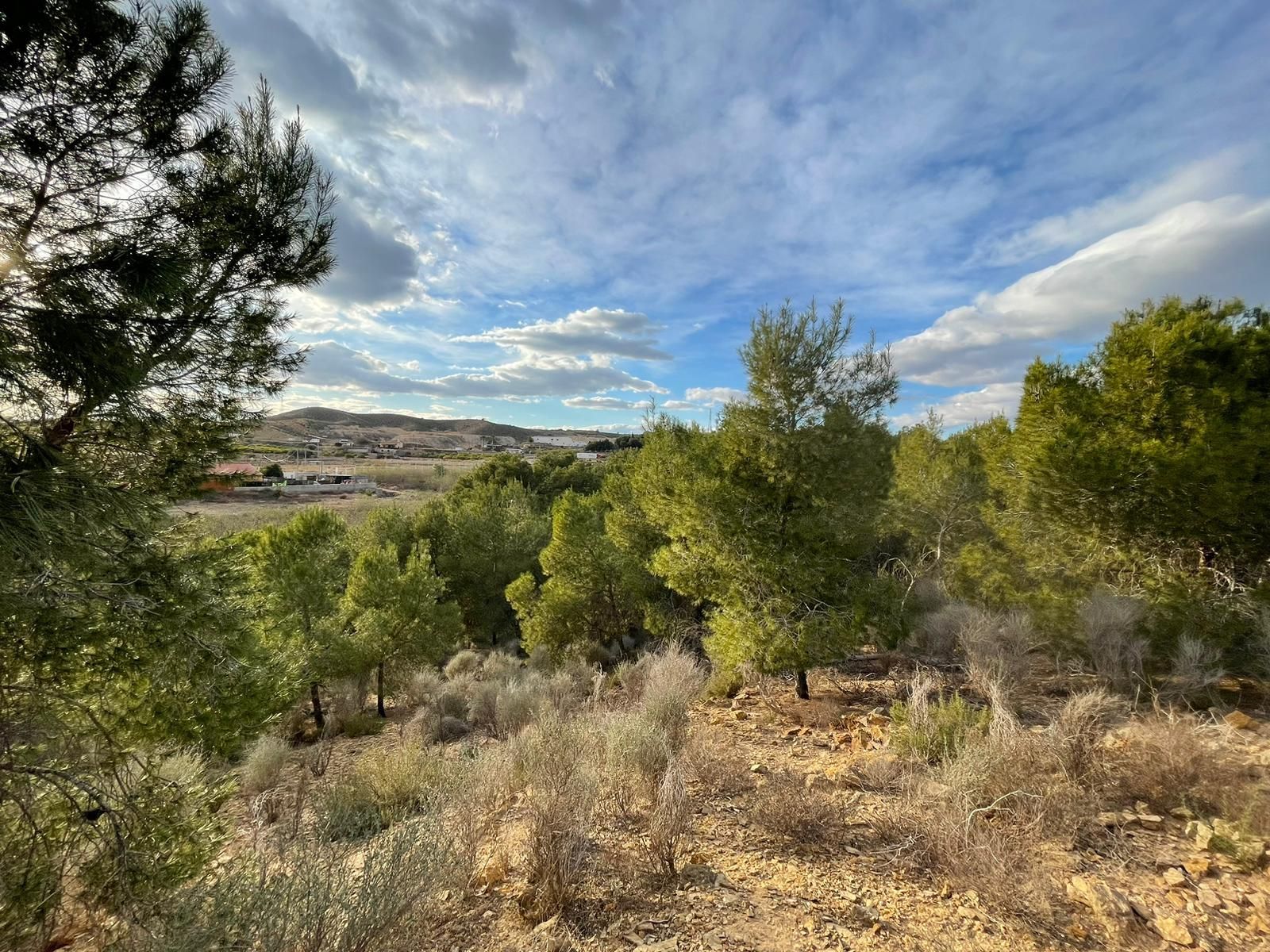 Finca rústica en venda a Camino de las Balsas, El Esparragal