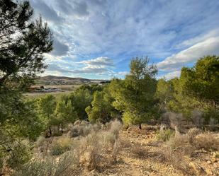 Finca rústica en venda a Camino de las Balsas, El Esparragal