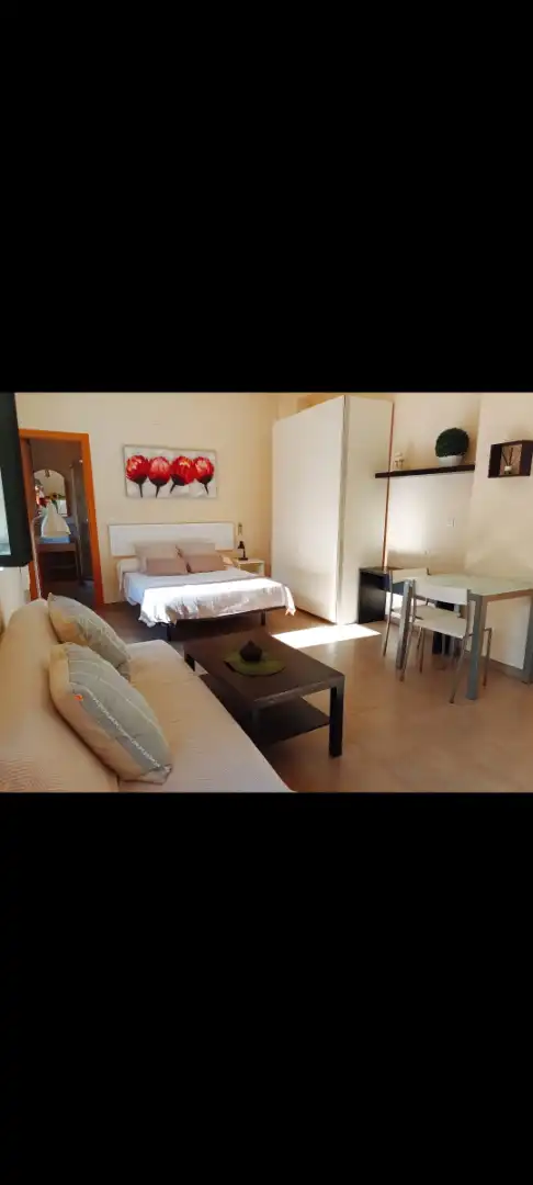 Schlafzimmer von Wohnung zur Miete in Málaga mit Möbliert