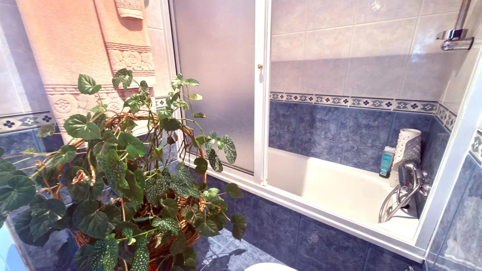 Bathroom of Houses for sale in Esgos  with Private garden, Parquet flooring and Furnished