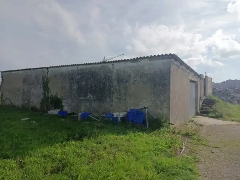 Terreni e lotti in vendita a Monte, imagen 6