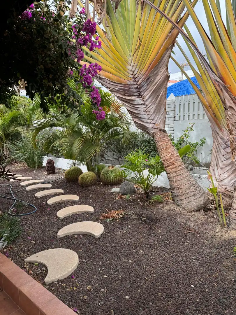 Garden of Houses for sale in San Bartolomé de Tirajana  with Private garden, Terrace and Furnished
