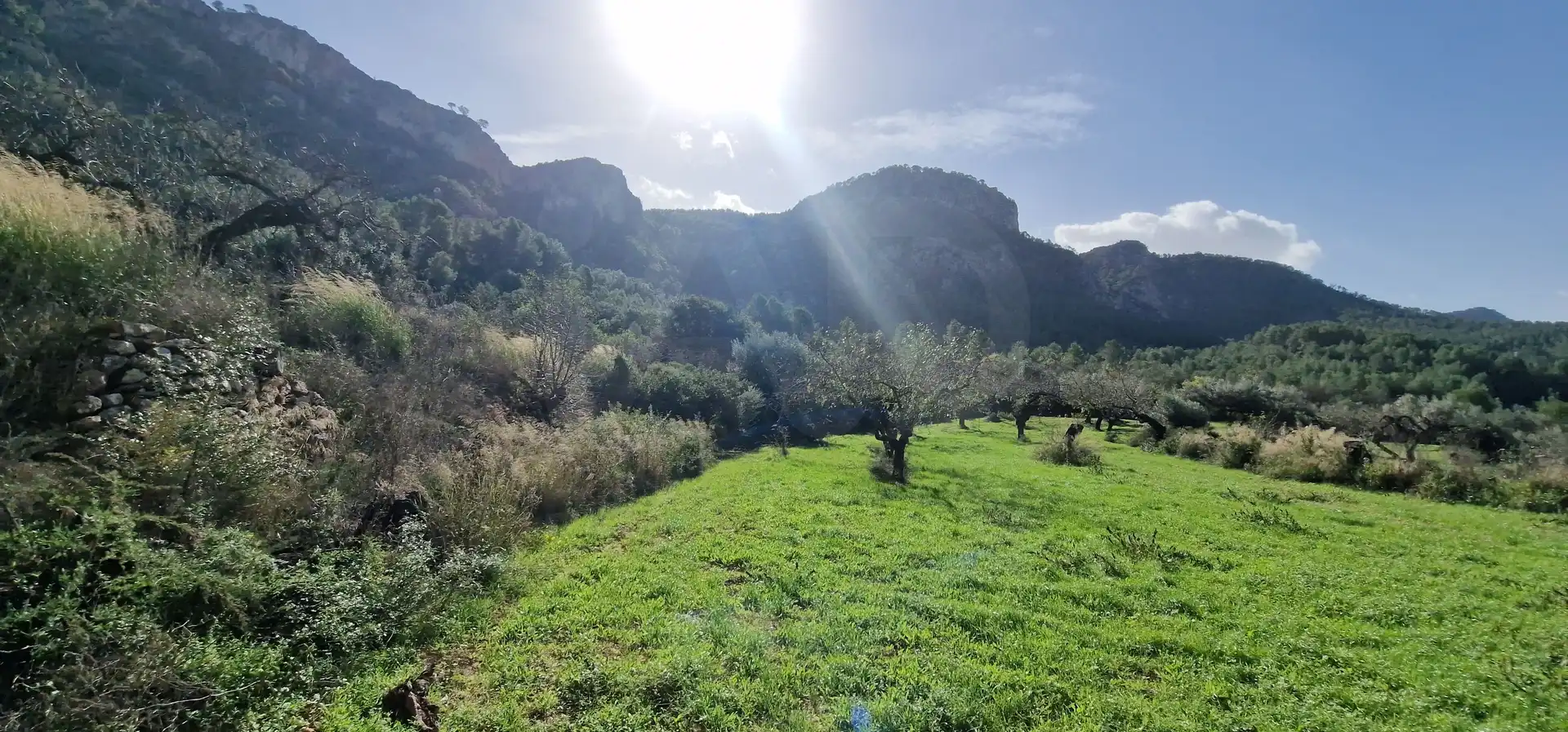 Lands and plots for sale in Urbanización HONS políg.19 políg.19, imagen 11