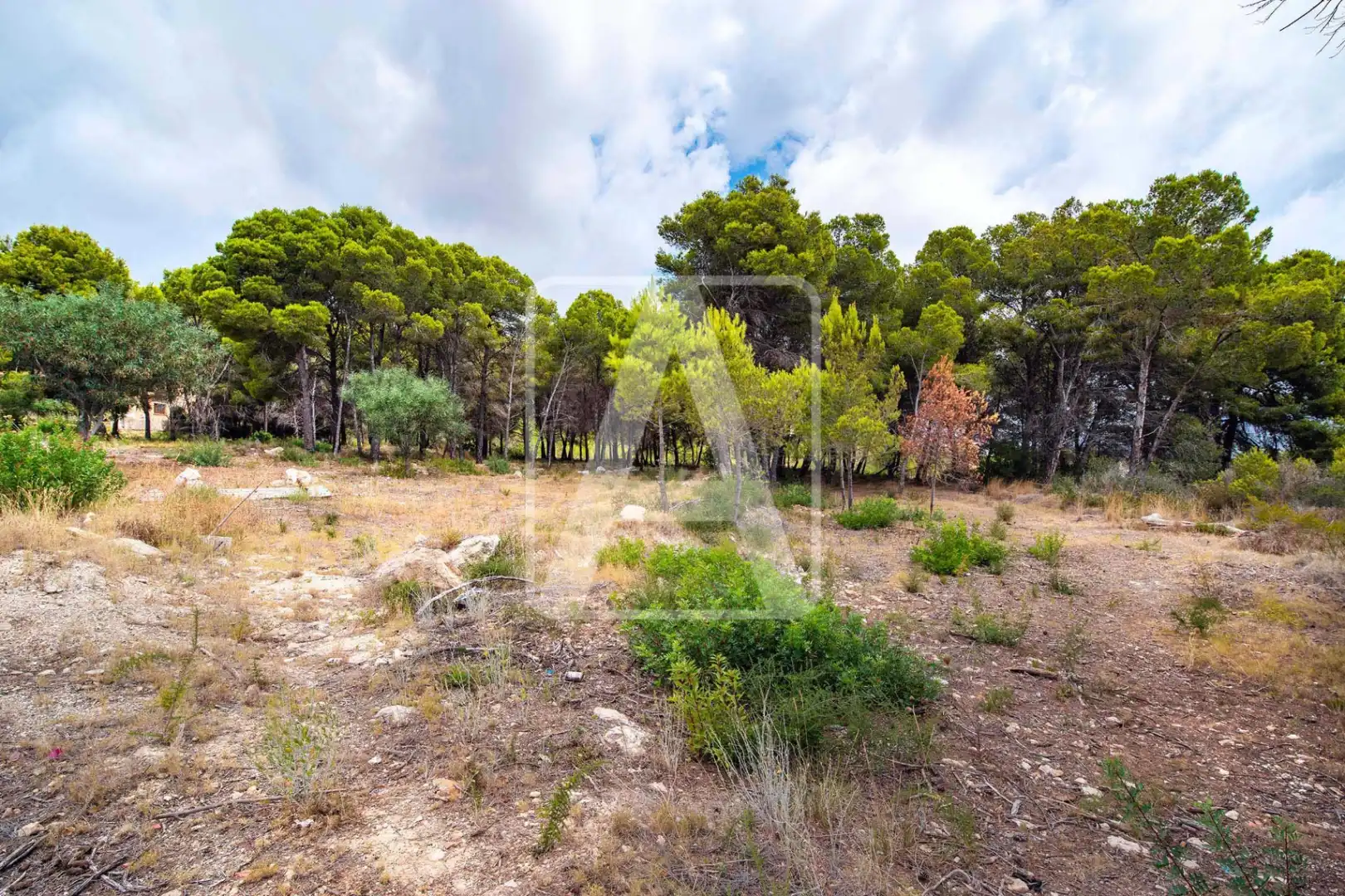 Detached house with pool for sale in Pinar del Advocat - Cometa, imagen 9