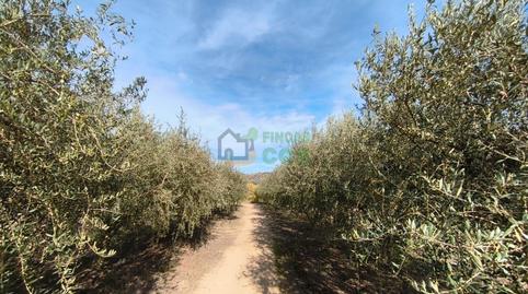 Foto 4 de Casa o chalet en venta en N/a, Castellgalí, Barcelona