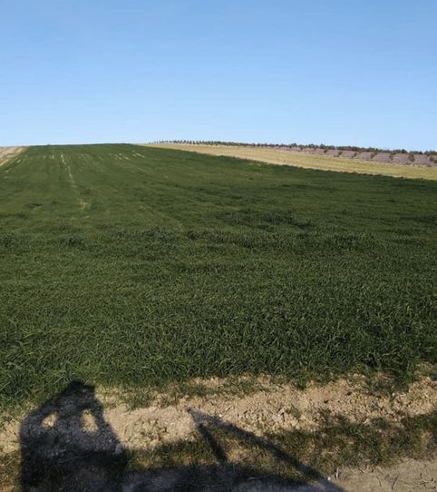 Photo 2 of Land for sale in La Malahá, Granada