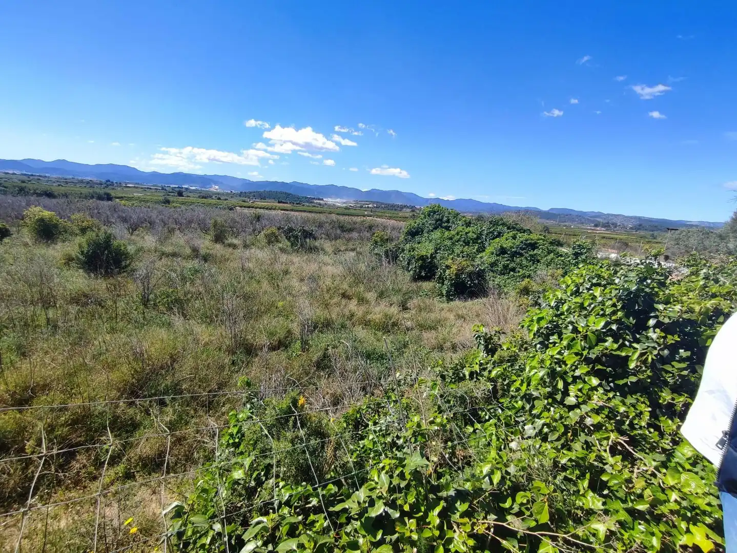 Rural land for sale in Onda, imagen 5