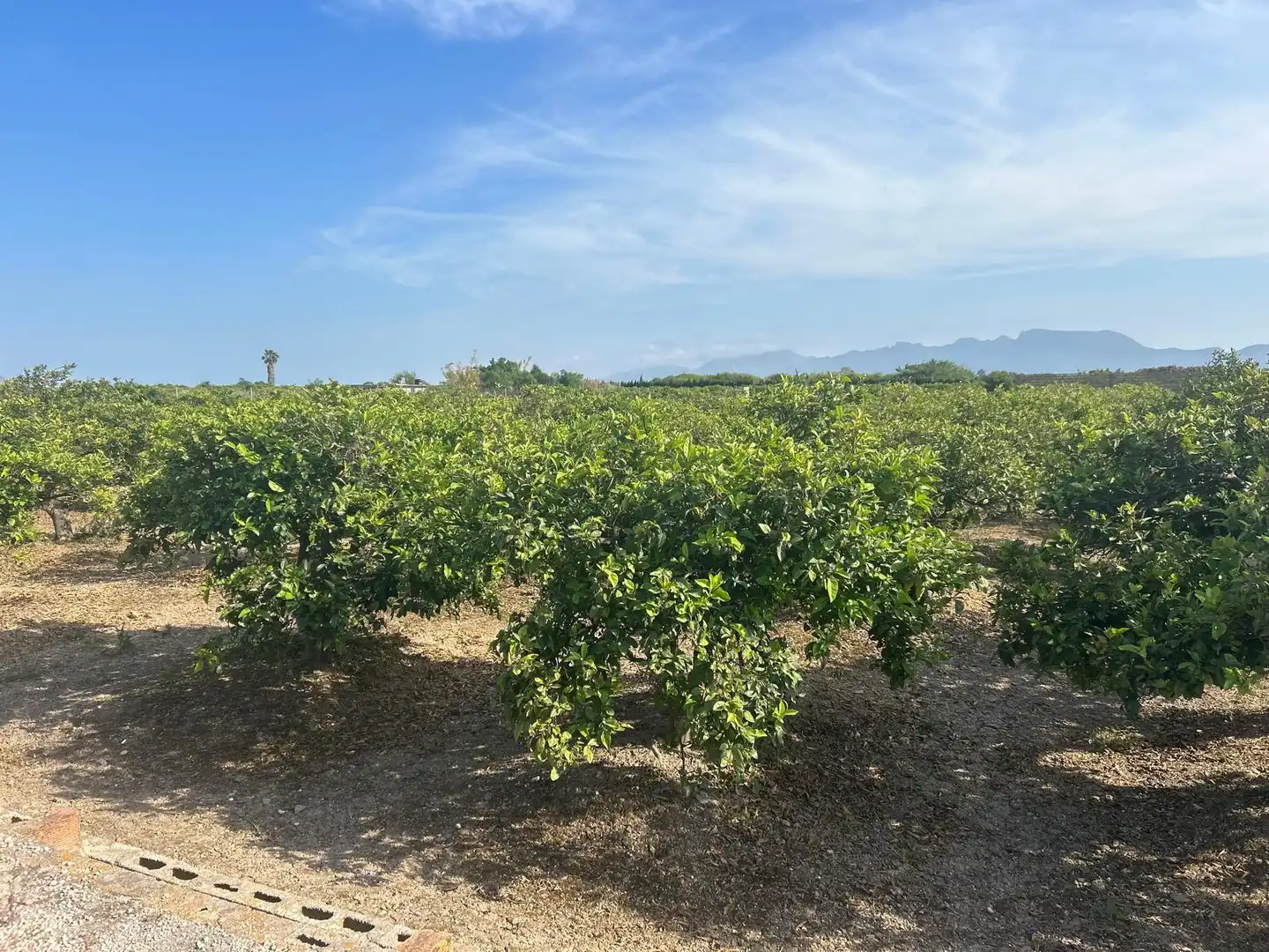 Rural land for sale in Carrer del Pou, imagen 2