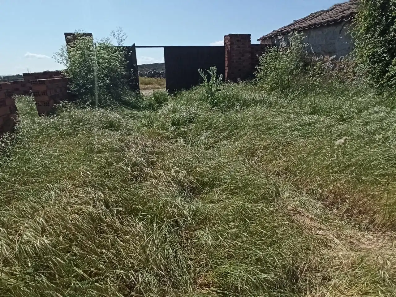 Terreni e lotti in vendita a Cardeñosa, imagen 15