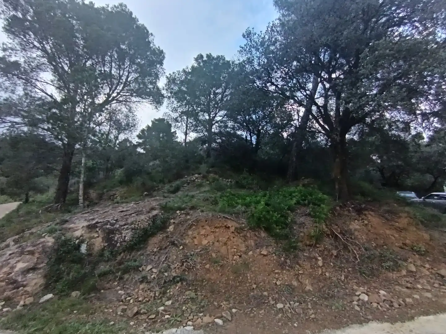 Terreny residencial en venda a Castellvell del Camp, imagen 8