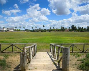 Flat to rent in Chapín - Campus Universitario - Navinco