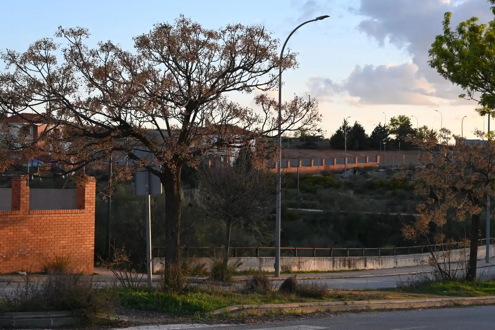 Terreni e lotti in vendita a Calle Abelia 13, imagen 29
