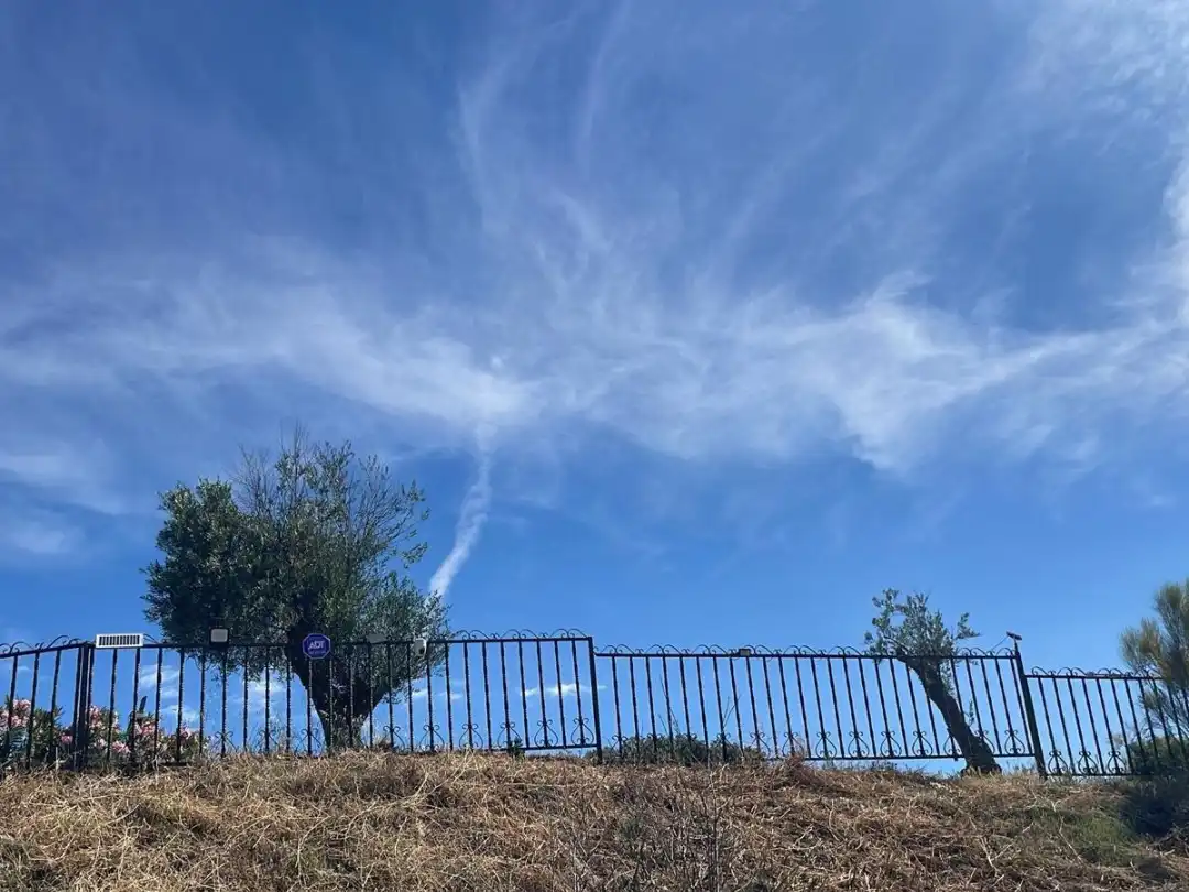 Terreno rustico in vendita a Camino de las Salinas 5, imagen 39