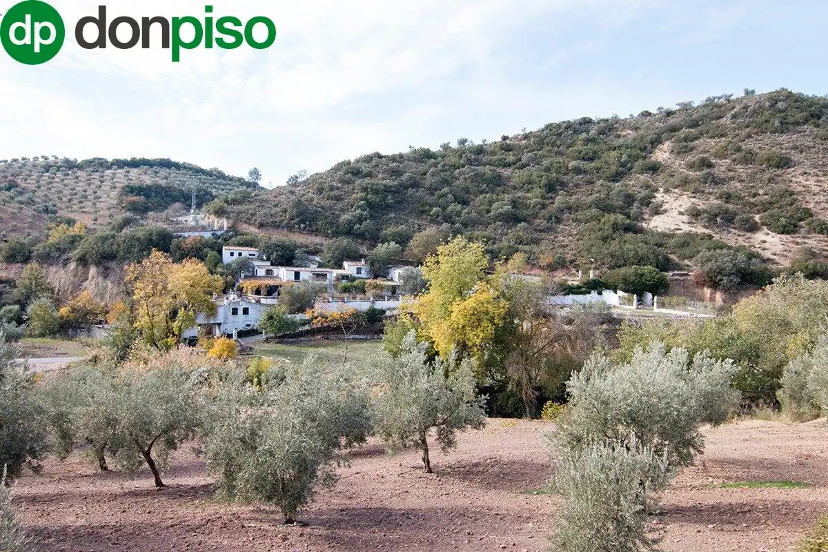 Casa rústica en venda a CORTIJO LA BARRAGANA, imagen 30