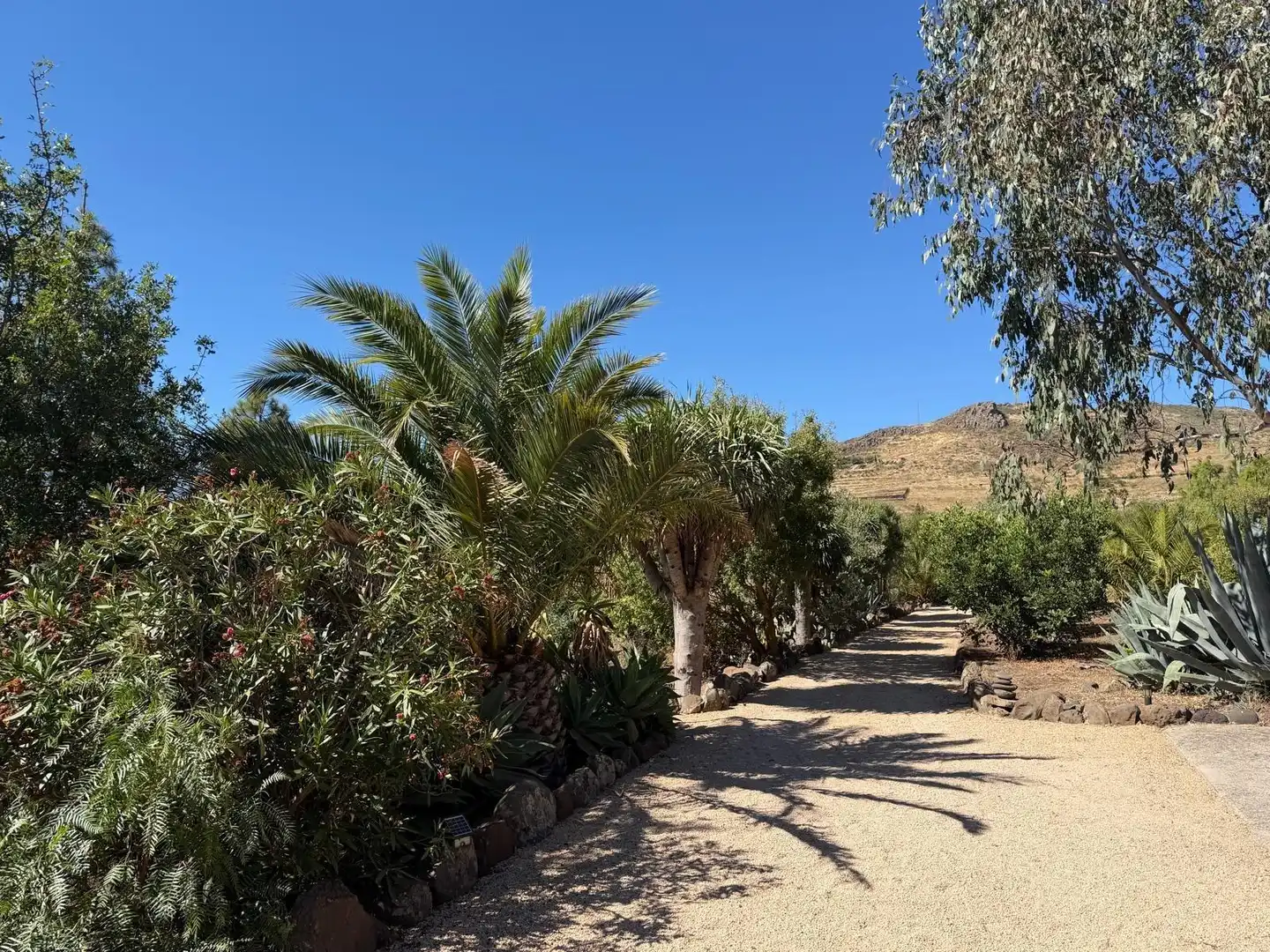 Vista exterior de Finca rústica en venta en Telde con Aire acondicionado, Calefacción y Jardín privado
