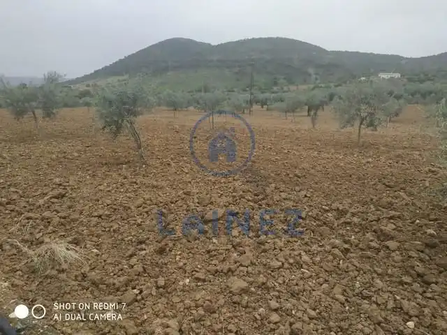Terreny residencial en venda a Belmez, imagen 11