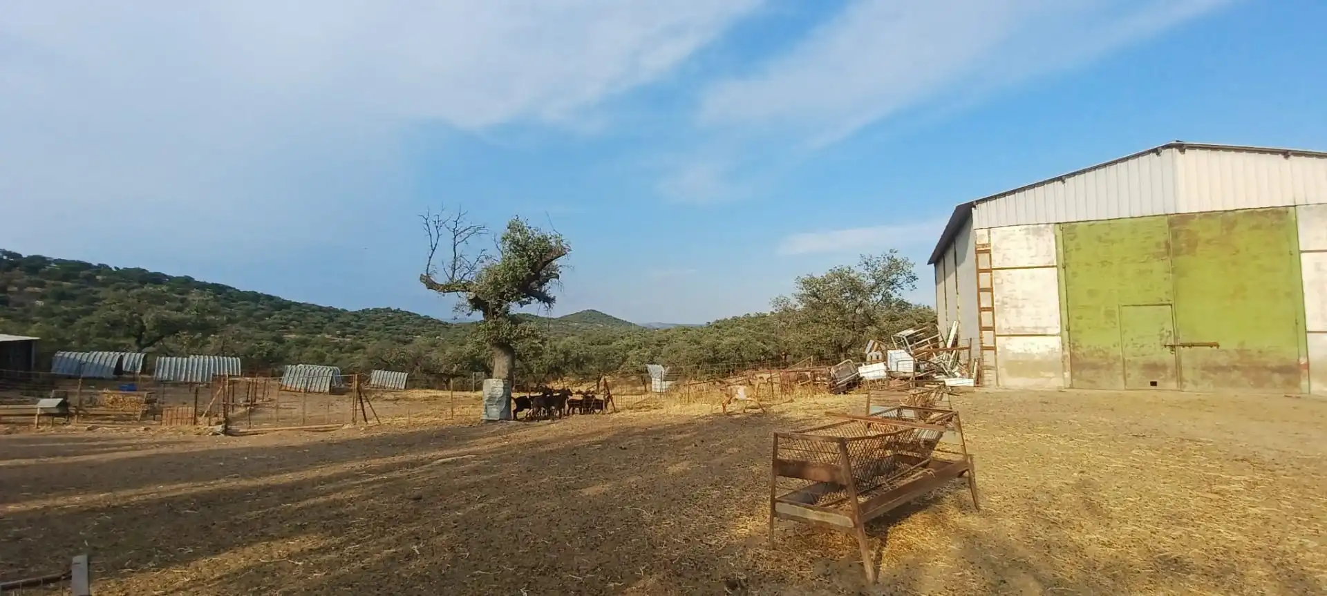 Terreny rústic en venda a Santa Olalla del Cala, imagen 35