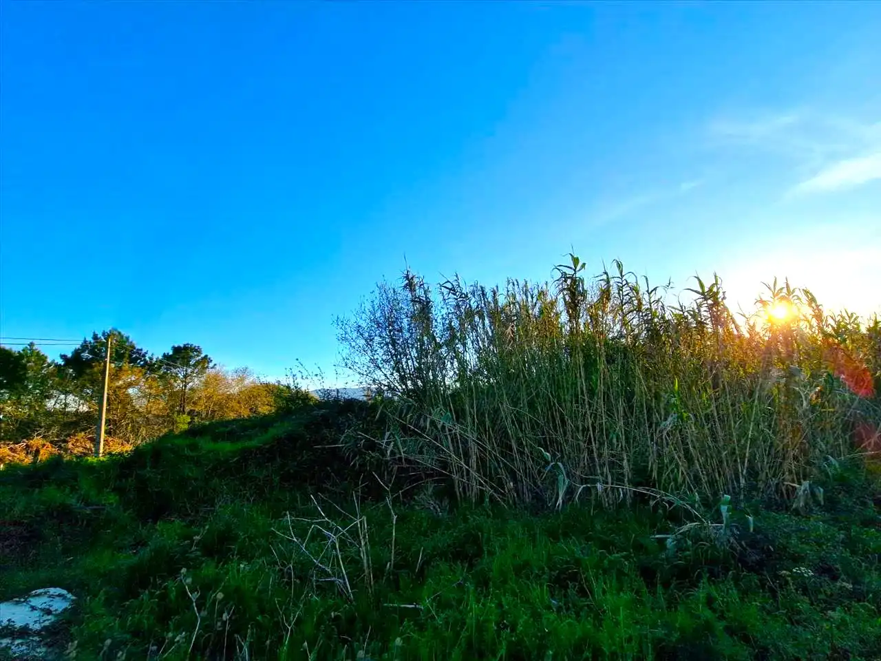 Lands and plots for sale in REVERENDO J.M. PEREZ ALONSO-NIGRA, imagen 10