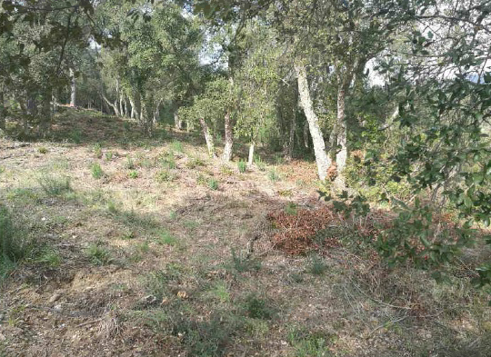 Residential for sale in Santa Cristina d'Aro