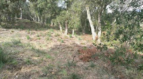 Photo 3 of Residential for sale in Vall-repos, 211, Urbanitzacions del Nord, Girona