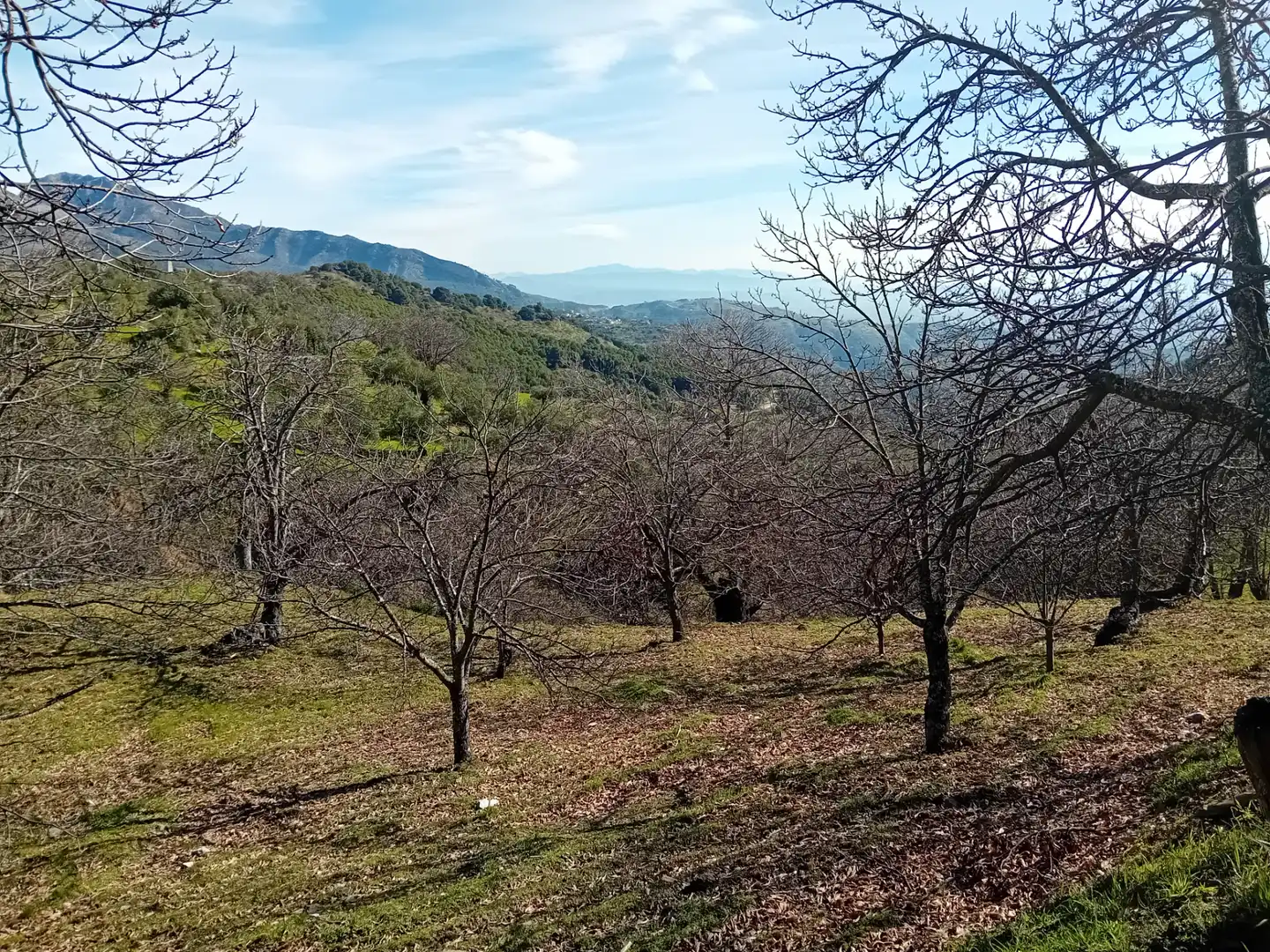 Land for sale in Yunquera